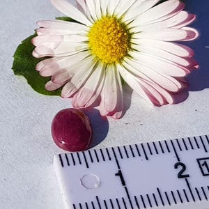K&ouml;nnte beinhalten: Ein ovaler, tief roter Edelstein mit einem Durchmesser von etwa 1 cm, neben einem wei&szlig;en Lineal mit schwarzen Markierungen.