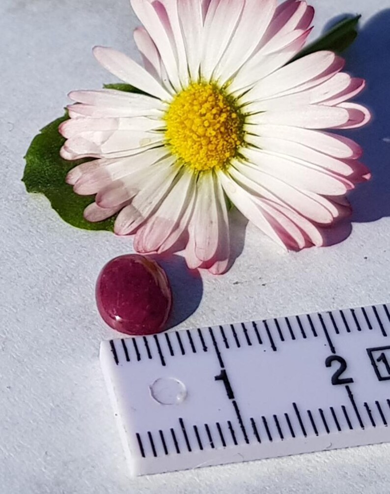 K&ouml;nnte beinhalten: Ein ovaler, tief roter Edelstein mit einem Durchmesser von etwa 1 cm, neben einem wei&szlig;en Lineal mit schwarzen Markierungen.