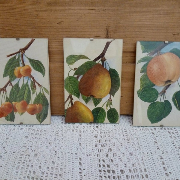 3 cadres vintage assortis / triptyque sur le thème des fruits / petits cadres décoratifs assortis / vintage français