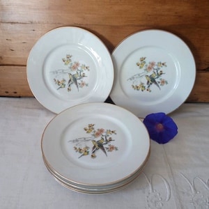 Set of 6 vintage flat plates / antique semi-porcelain plates / vintage crockery