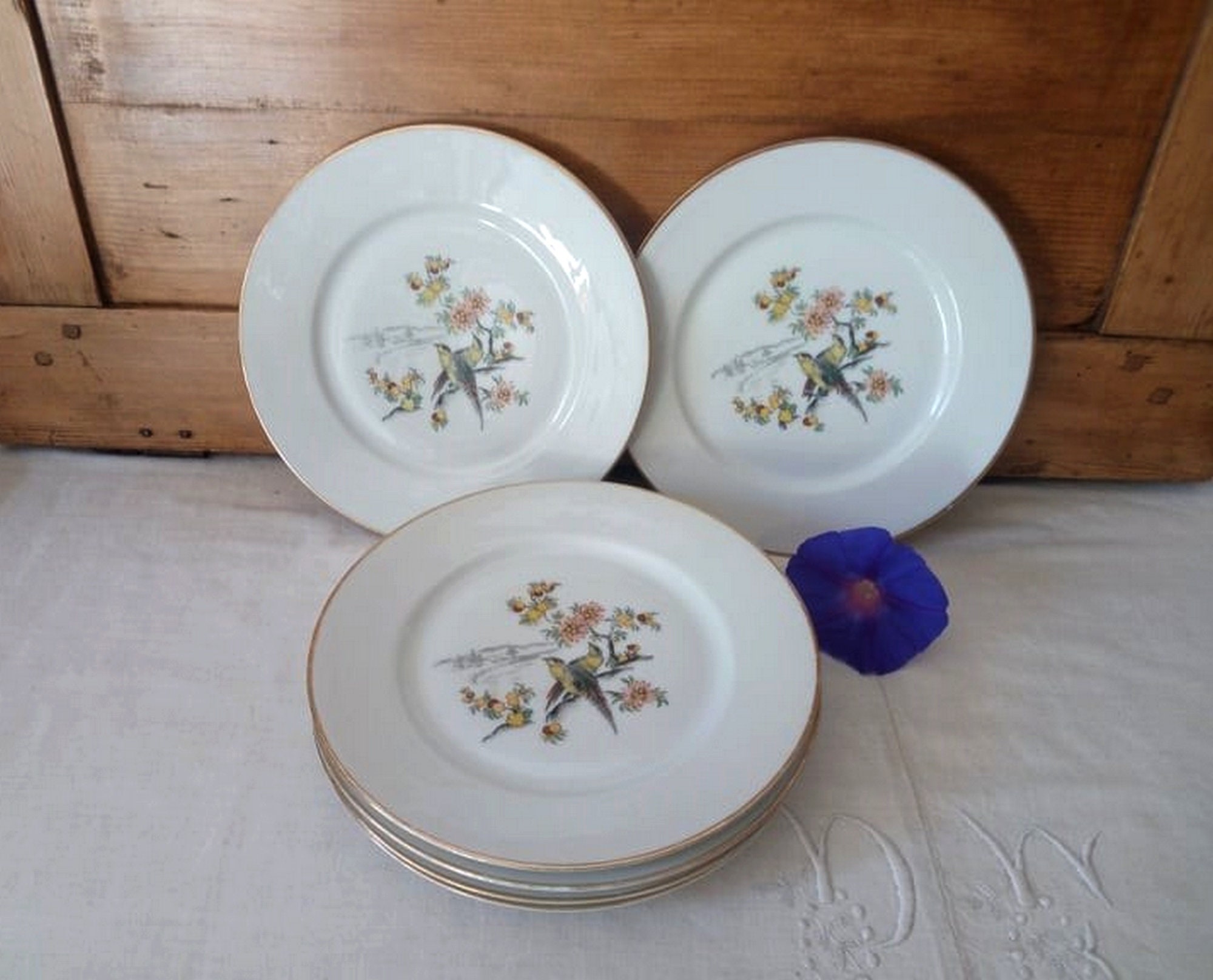 Lot de 6 Assiettes Plates Vintage/Anciennes en Semi Porcelaine Vaisselle Vintage