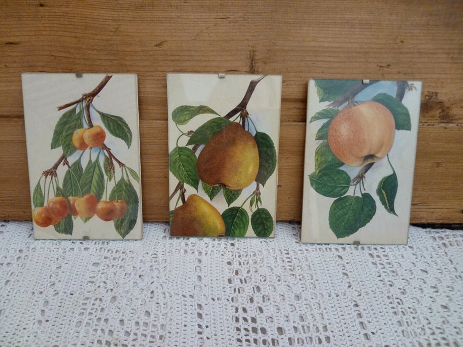 3 Cadres Vintage Assortis/Triptyque sur Le Thème Des Fruits Petits Décoratifs Français