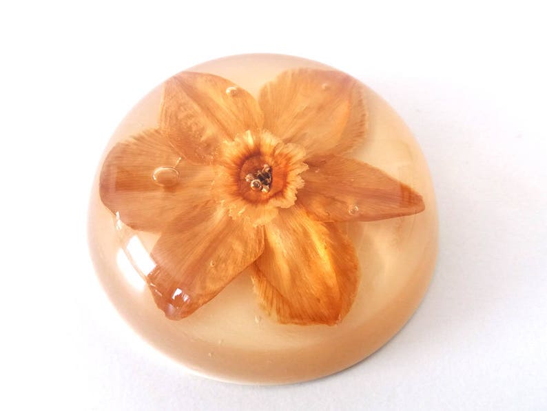 Vintage resin paperweight with a real dried flower botanical Etsy