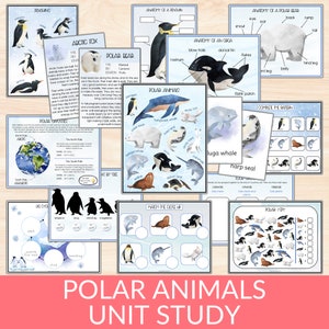 Paquete de aprendizaje de animales polares, estudio de la unidad de animales árticos, actividades preescolares de pingüinos de invierno, materiales de aprendizaje para niños pequeños de educación en casa sobre osos polares