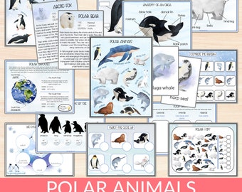 Polar Animal Learning Pack, Arctic Animals Unit Study, Winter Penguin Preschool Activities, Polar Bear Homeschool Toddler Learning Materials