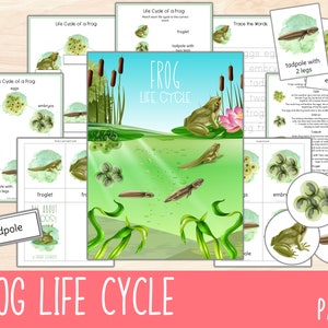 Unidad del ciclo de vida de las ranas, imprimibles del estudio de la naturaleza de Charlotte Mason, actividad científica, carteles educativos del ciclo de vida de los anfibios, descarga digital