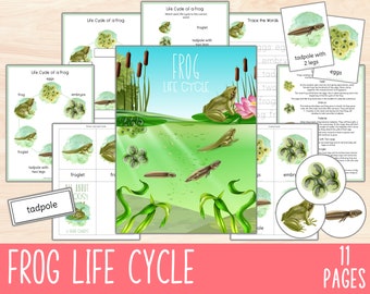 Frog Life Cycle Unit, Charlotte Mason Nature Study Printables, Science Activity, Educational Amphibian Life Cycle Posters, Digital Download
