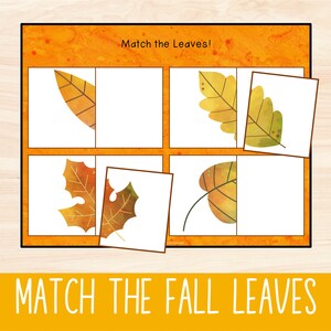 May include: A printable educational game for kids featuring a matching activity with fall leaves. The game includes six colorful leaves with different shapes and patterns. The text "Match the Leaves!" is at the top of the game board. The text "MATCH THE FALL LEAVES" is at the bottom of the game board.