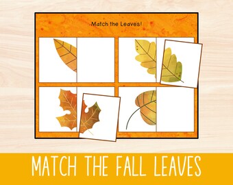 Activité d&#39;association des feuilles d&#39;automne, Association des feuilles d&#39;automne, Jeu d&#39;apprentissage pour les tout-petits, Activités d&#39;association amusantes pour les enfants, Temps calme pour l&#39;école à la maison, Imprimable