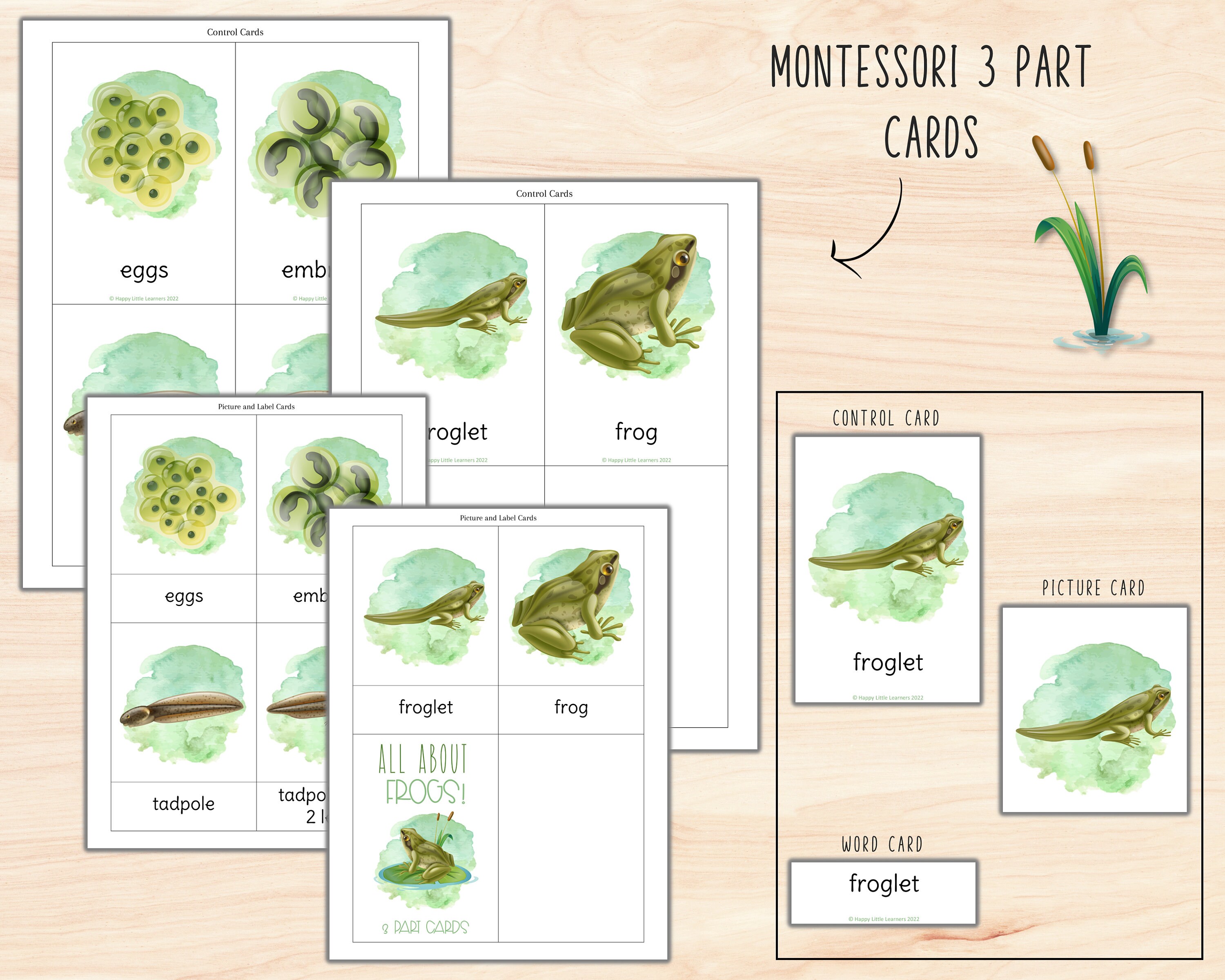 Frog Life Cycle Unit, Charlotte Mason Nature Study Printables, Science ...