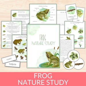Paquete de estudio de unidades de ranas, ciclo de vida y anatomía de las ranas, imprimibles de estudios de la naturaleza de Charlotte Mason, actividad científica, tarjetas educativas de ranas