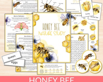 Honey Bee Unit Study Bundle, Bee Life Cycle & Anatomy, Charlotte Mason Nature Study Printables, Science Activity, Educational Bee Flashcards