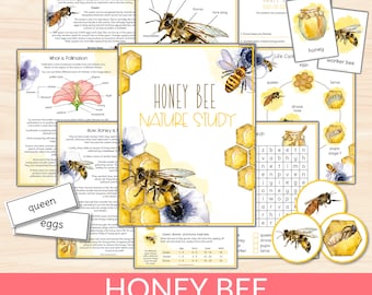 Paquete de estudio de la unidad de abejas melíferas, ciclo de vida y anatomía de las abejas, imprimibles de estudios de la naturaleza de Charlotte Mason, actividad científica, tarjetas educativas de abejas