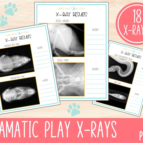 Vet Clinic Dramatic Play, Pretend Play Printable, Pet Play, Animal X Rays Pretend Play Set, Pet X-ray Play Animal Hospital