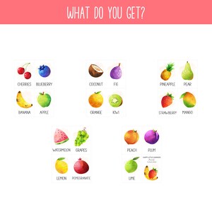 May include: A colorful chart with illustrations of various fruits and their names. The fruits include cherries, blueberry, coconut, fig, pineapple, pear, banana, apple, orange, kiwi, strawberry, mango, watermelon, grapes, peach, plum, lemon, pomegranate, and lime.