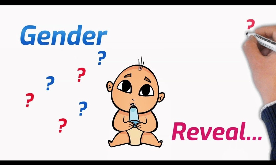 Gender Reveal Digital Video Boy Version Digital Animation Boy Gender