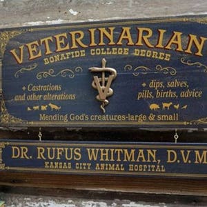 Veterinarian Wood Sign with Optional Personalization