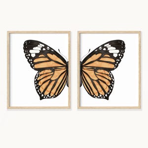 May include: A set of two framed prints featuring a close-up of a butterfly with black and orange wings.