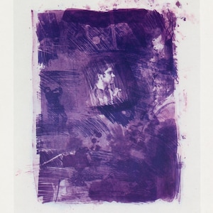 Robert Rauschenberg &quot;Flower Re-Run&quot; from Reels B+C 1968