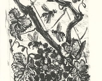 May include: A monochrome etching depicting a grapevine laden with grapes, leaves, and bees. The image has a detailed, textured quality, with the grapes and foliage densely arranged, creating a rich visual effect.