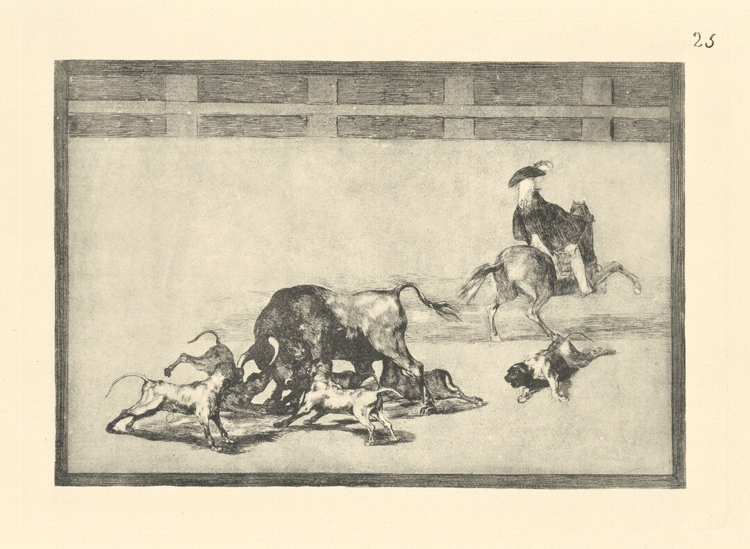Francisco Goya tauromaquia Plate 25 - Etsy