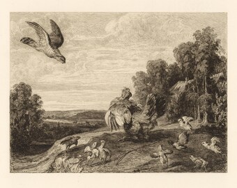Frans Snyders | William Unger-ets "Kip bewaakt haar kroost"