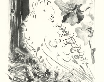 パブロ・ピカソ「鳩」リトグラフ、証明書、サイン入り、トップ