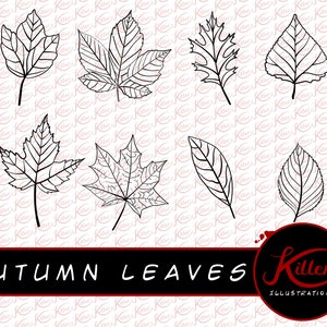 May include: A set of ten black and white illustrations of autumn leaves. The leaves are drawn in a simple, stylized manner and are perfect for use in crafts, scrapbooking, or digital design.