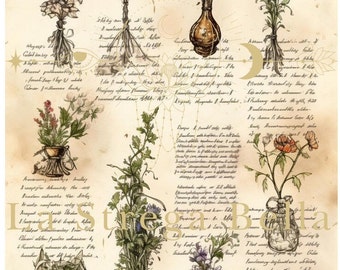 Witch Herb Posters -  Beautifully illustrated witchy posters