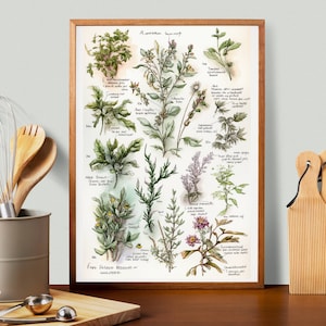 Witches Herb Poster/Witches Apothecary/Witches Cabinet