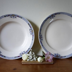 Faïence de Longchamp :  2 grandes assiettes de service en Terre de Fer, début XXème siècle /vaisselle ancienne/French Transferware Ironstone