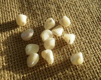 Lot de 12 perles pépites en nacre , coloris écru , taille  7 x 9 mm