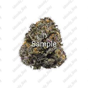 Puede incluir: Un primer plano de una muestra de cogollos de cannabis púrpura y verde. Los cogollos son densos y están cubiertos de tricomas.