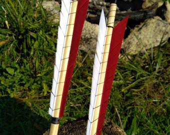 1 Flèche Médiévale avec pointe vissée, sur mesure, pour reconstitution historique, tir nature, tir beursault...
