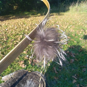 Puede incluir: Un arco de madera con una flecha emplumada, la flecha está clavada en un tocón de árbol. La flecha tiene un emplumado marrón y blanco.