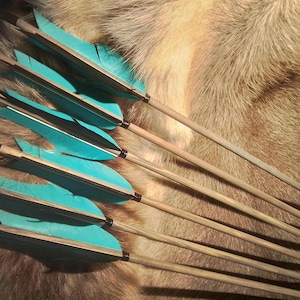 Op de afbeelding: Een verzameling houten pijlen met levendige turquoise veren. De pijlen zijn in een waaier gerangschikt, waarbij de heldere veren worden getoond tegen een getextureerde, bruine achtergrond. Elke pijl heeft een zwarte band bij de veren.