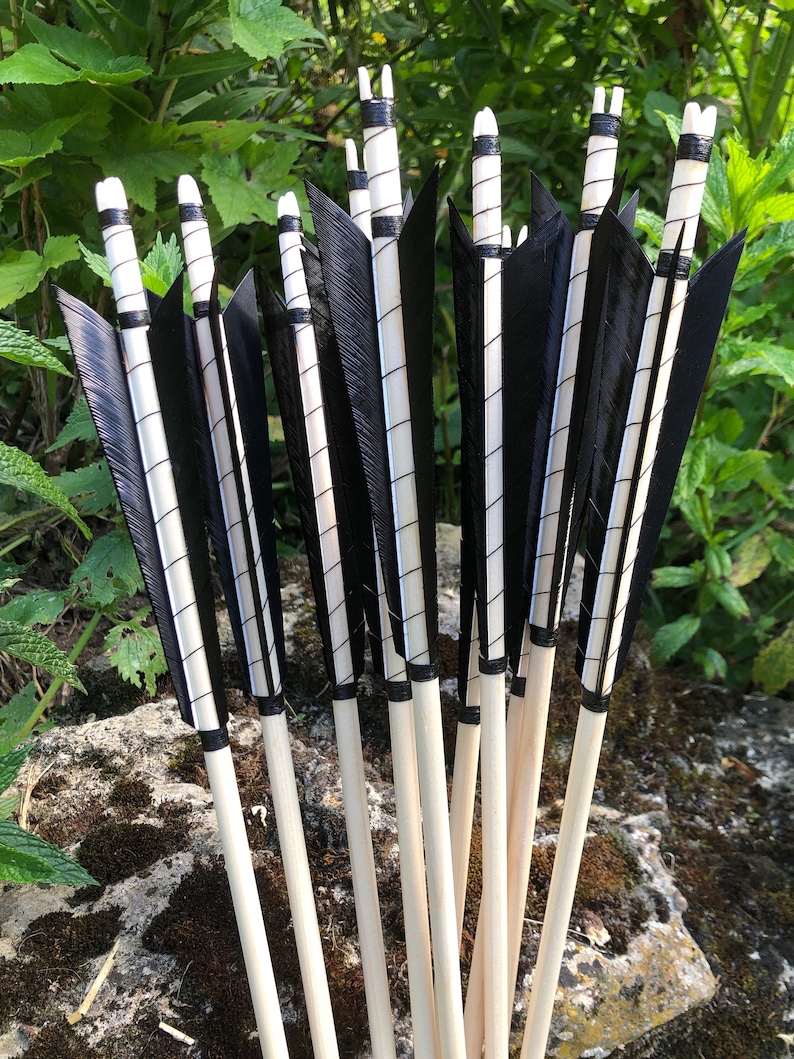 1 Medieval Arrow With Screw-on Point, Custom-made, for Historical ...