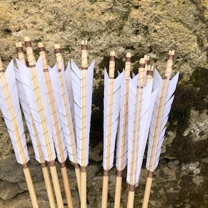 1 Medieval arrow with screw-on tip, custom-made, for historical reenactment, nature shooting, Beursault shooting, etc.