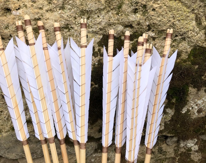 Prop Arrows for Cosplay - Etsy