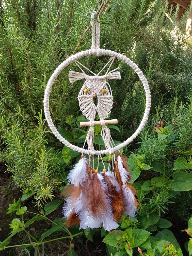 Le Hibou sur Sa Branche