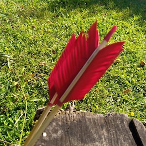 Op de afbeelding: Een rode pijl met veren zit vast in een boomstronk. De pijl is gemaakt van hout en heeft een rode bevedering.