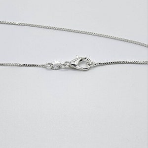 May include: A silver chain necklace with a lobster clasp closure.