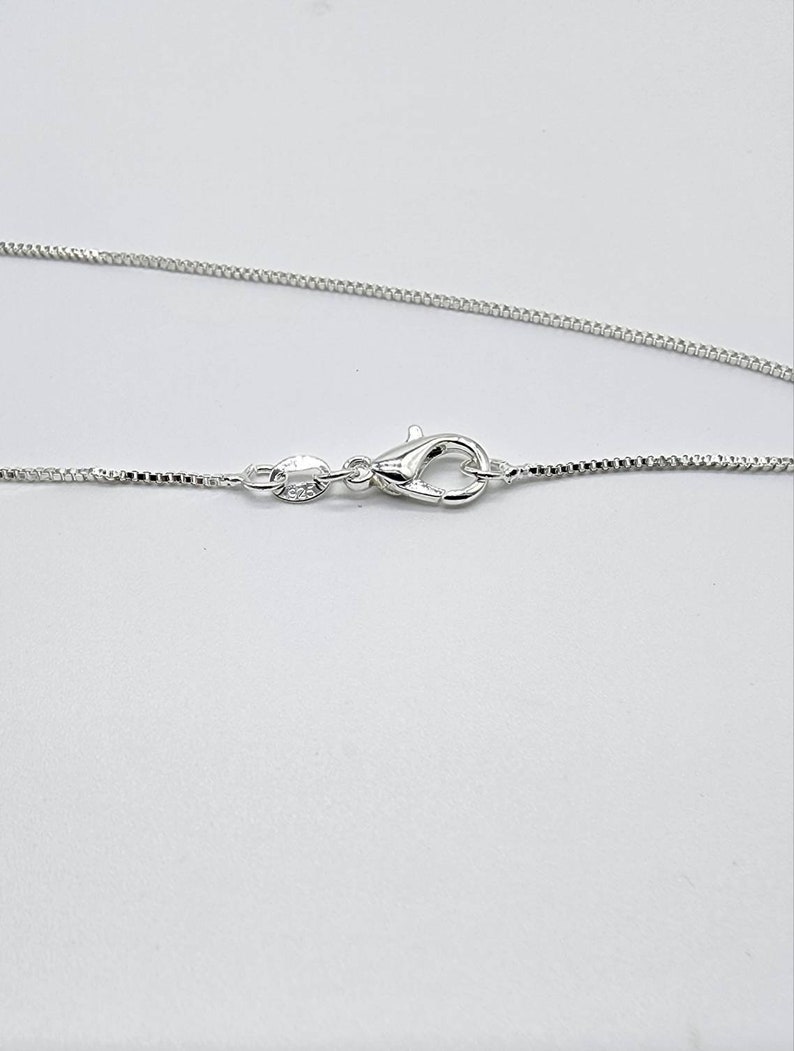 May include: A silver chain necklace with a lobster clasp closure.