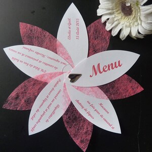 Lot de 50 menus individuels couleur au choix