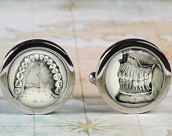 Antique Dental Morphology cufflinks, dentist cufflinks gift for dentist or dental hygienist dental assistant dental student gift tooth teeth