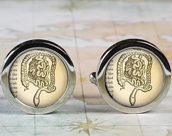 Intestines antique medical drawing cufflinks, colo-rectal surgeon gastroenterologist gift proctologist cuff links GI medical student gift