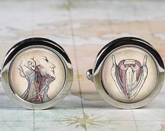 ENT cufflinks, antique anatomical illustration cuff links for ear nose and throat doctor medical student graduation gift laryngologist