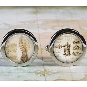 May include: A pair of silver cufflinks with a round face. Each cufflink features a vintage anatomical illustration of the spine and skeletal structure. The background is a parchment-like paper.