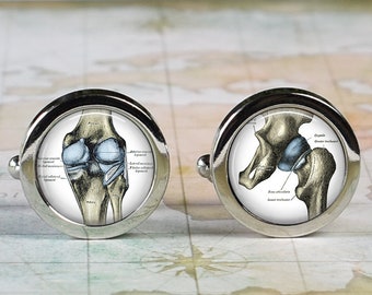 Hip and knee joints, Gray's Anatomy gift for hip and knee surgeon, orthopedist cufflinks orthopaedic or hip knee surgeon gift