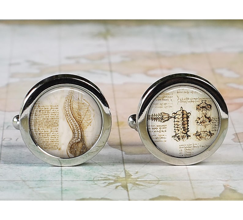 May include: A pair of silver cufflinks with a round face. Each cufflink features a vintage anatomical illustration of the spine and skeletal structure. The background is a parchment-like paper.